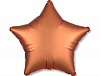 � �/��� ������ 19" ����� Amber