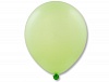 � 10" �������� Light Green