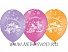 ����������� ������� 14" Disney ����� ����