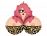� ������ ����� ��-�� �������