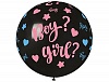 ���� 31" ���� Boy or Girl 2��/��