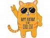 � ������ HB TO COOL CAT ���